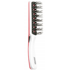 Brosse Plate Salon 253