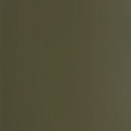 Gel I-LAK Khaki Dream 191188