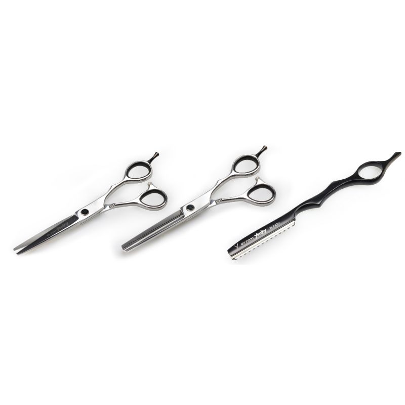 Kit de Coupe ciseaux + sculpteur + rasoir Ysaky