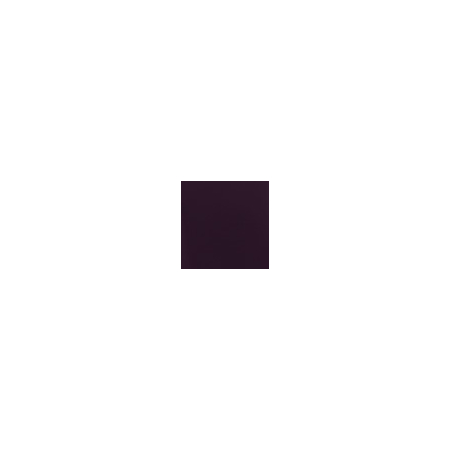Vernis à ongles Tulipe Noire 109084