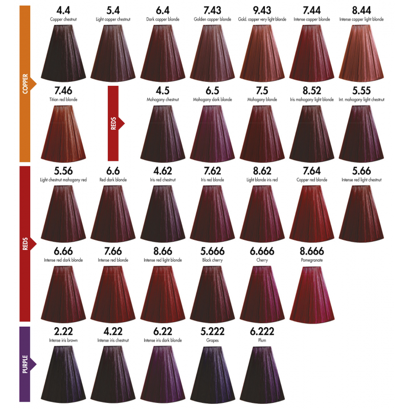 Méchier Color Ing