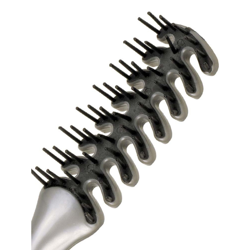 Brosse Anatomique Jacques Seban...