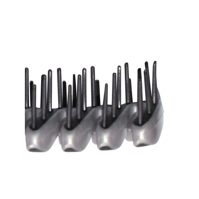 Brosse Anatomique Jacques Seban...