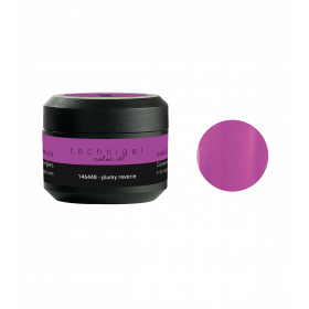 Gel UV/LED Color it plumy reverie 146448
