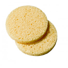 Eponge cellulose x 25 120199