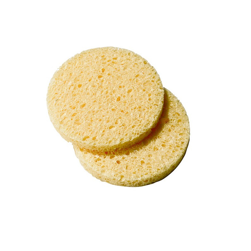 Eponge cellulose x 25 120199