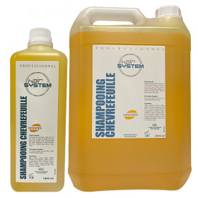 Shampoing concentré Professionnel