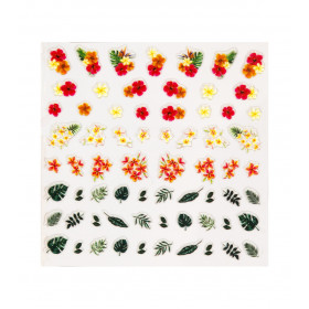 Décors adhésifs pour ongles 149237