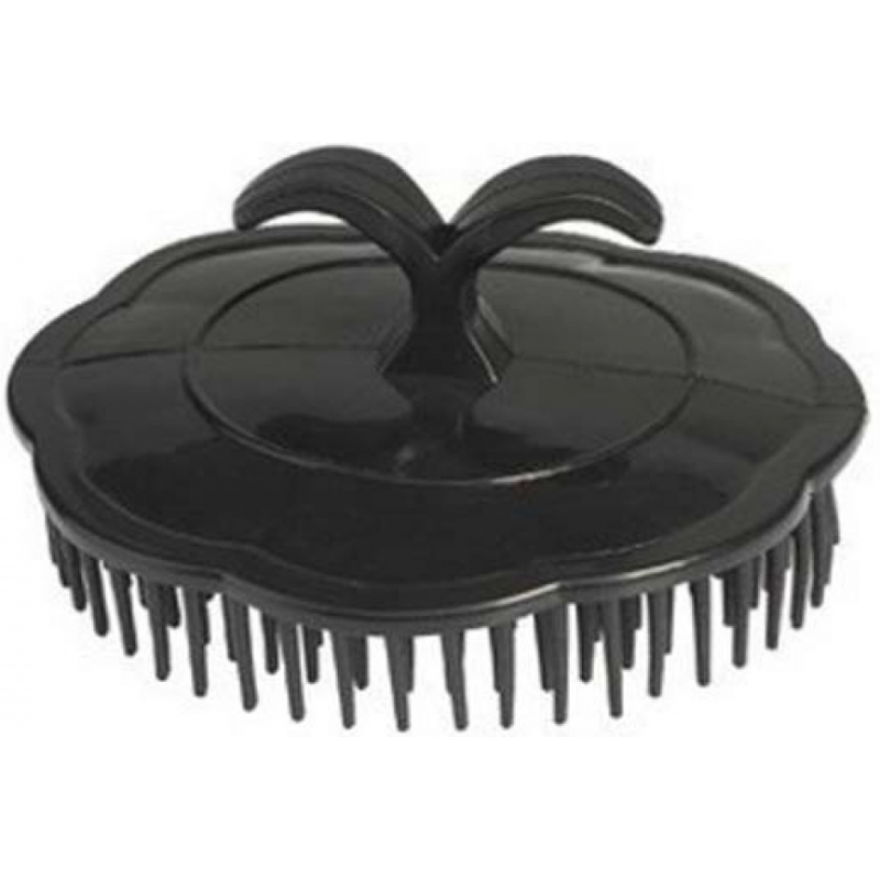 Brosse de Massage et Coiffage