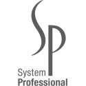SP System Professional
